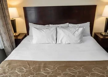 Comfort Suites University Area Notre Dame - South Bend hotel thumbnail 8