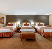 Best Western Plus Pavilions hotel detail image 7