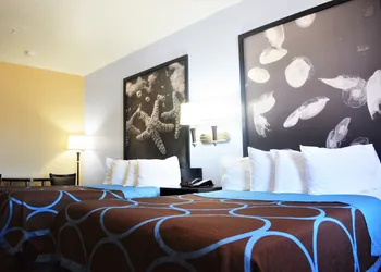 Super 8 by Wyndham Galveston hotel thumbnail 7