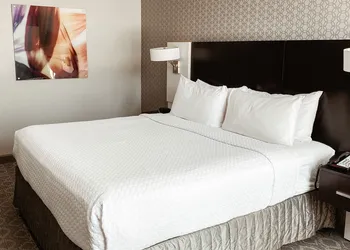 Crowne Plaza Chicago SW - Burr Ridge by IHG hotel thumbnail 8