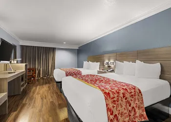 Best Western Moreno Hotel & Suites hotel thumbnail 8