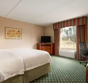 Hampton Inn & Suites Williamsburg-Central hotel detail image 4