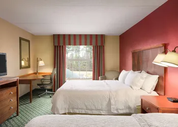 Hampton Inn & Suites Williamsburg-Central hotel thumbnail 7
