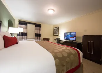 Ramada by Wyndham Houston Intercontinental Airport East hotel thumbnail 8