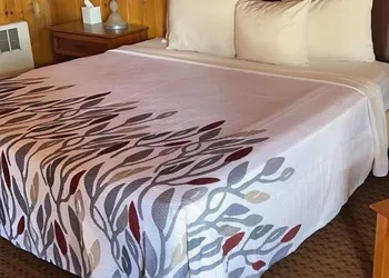 Prospector Motor Lodge hotel thumbnail 5