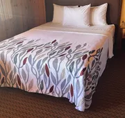 Prospector Motor Lodge hotel detail image 7