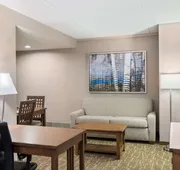 Homewood Suites by Hilton Buffalo/Amherst hotel detail image 5