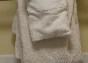 Rodeway Inn Orleans - Cape Cod hotel thumbnail 7