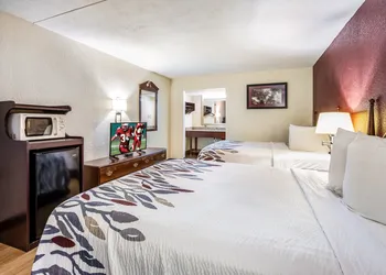 Red Roof Inn Caryville hotel thumbnail 6