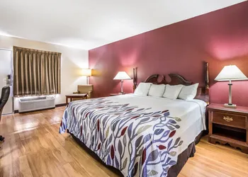 Red Roof Inn Caryville hotel thumbnail 7