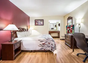 Red Roof Inn Caryville hotel thumbnail 8