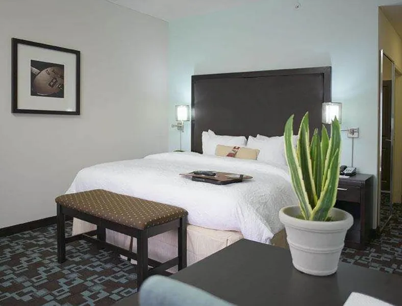 Hampton Inn & Suites Nashville @ Opryland hotel detail image 6