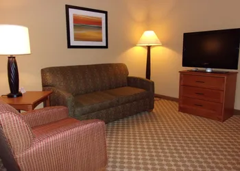 Holiday Inn Express & Suites Chicago West-Roselle by IHG hotel thumbnail 4