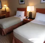 Holiday Inn Express & Suites Chicago West-Roselle by IHG hotel detail image 5