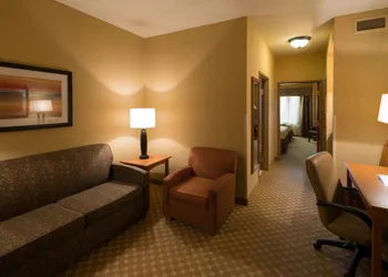 Holiday Inn Express & Suites Chicago West-Roselle by IHG hotel thumbnail 7