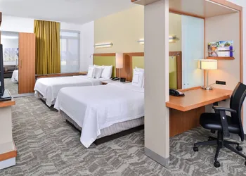 SpringHill Suites by Marriott Detroit Metro Airport Romulus hotel thumbnail 6
