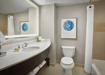 Signia by Hilton Orlando - An Official Walt Disney World® Hotel hotel thumbnail 6