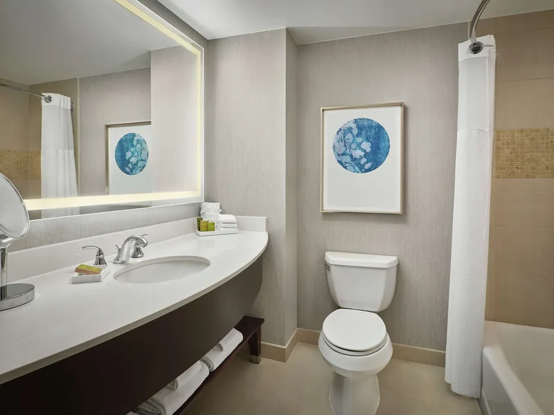 Signia by Hilton Orlando - An Official Walt Disney World® Hotel hotel detail image 6