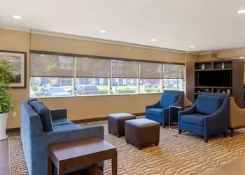 Comfort Suites Ontario Airport Convention Center hotel thumbnail 3