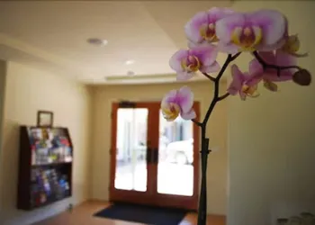 Bella Capri Inn hotel thumbnail 2