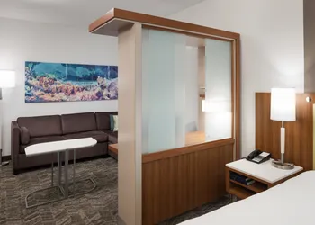 SpringHill Suites by Marriott Orlando at SeaWorld hotel thumbnail 8