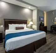Comfort Suites Seabrook - La Porte - Kemah hotel detail image 4