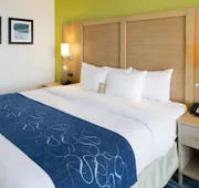 Comfort Suites Beachfront hotel detail image 4