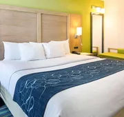 Comfort Suites Beachfront hotel detail image 7