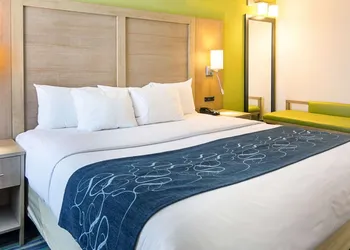Comfort Suites Beachfront hotel thumbnail 7