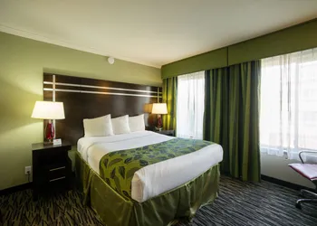 Motel Capri hotel thumbnail 6