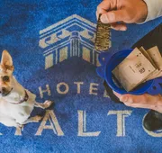 Hotel Rialto hotel detail image 5