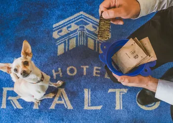Hotel Rialto hotel thumbnail 5