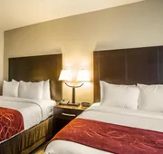 Comfort Suites Huntersville near Lake Norman hotel detail image 5