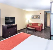 Holiday Inn Express & Suites Elkton - University Area by IHG hotel detail image 3