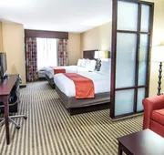Holiday Inn Express & Suites Elkton - University Area by IHG hotel detail image 4
