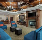 Comfort Inn & Suites Fort Worth - Fossil Creek hotel detail image 3