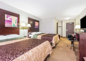 Super 8 by Wyndham Innisfail hotel thumbnail 8