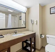 Comfort Inn & Suites hotel detail image 7
