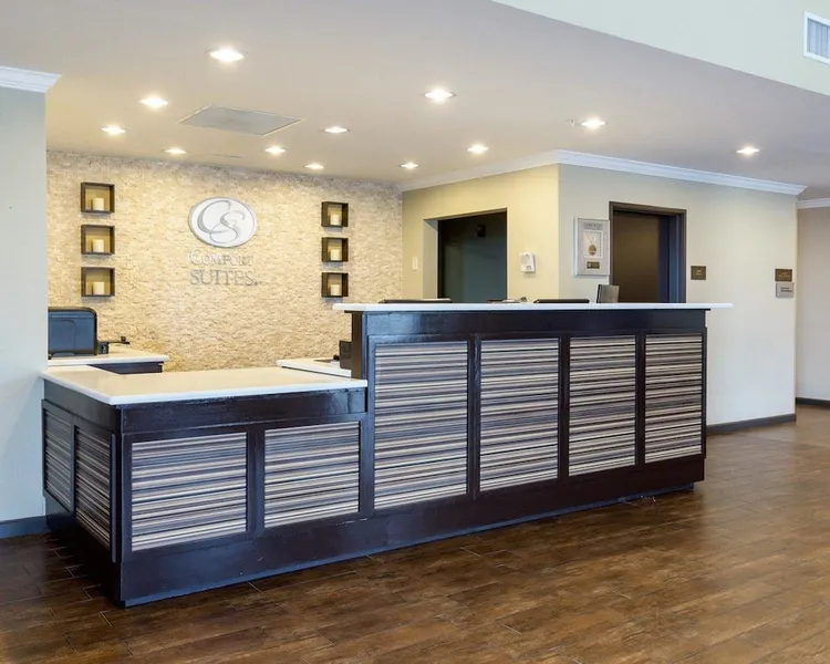Comfort Suites near Westchase on Beltway 8 hotel detail image 2
