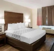Downtown Hollywood Gardens Inn & Suites hotel detail image 4