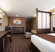 Microtel Inn & Suites by Wyndham Pleasanton hotel detail image 5