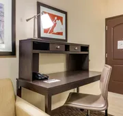 Staybridge Suites St. Petersburg Downtown by IHG hotel detail image 5