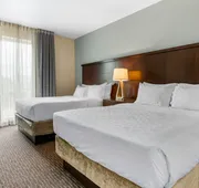 Staybridge Suites St. Petersburg Downtown by IHG hotel detail image 7
