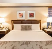 The Belvedere Hotel hotel detail image 7