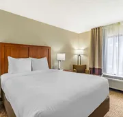 Comfort Inn & Suites St. Pete - Clearwater International Airport hotel detail image 4