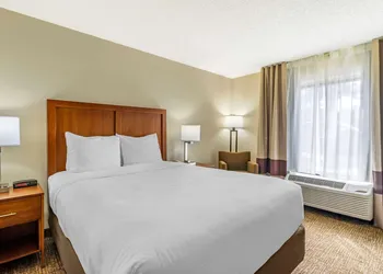 Comfort Inn & Suites St. Pete - Clearwater International Airport hotel thumbnail 4
