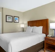 Comfort Inn & Suites St. Pete - Clearwater International Airport hotel detail image 5