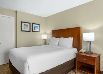 Comfort Inn & Suites St. Pete - Clearwater International Airport hotel thumbnail 5