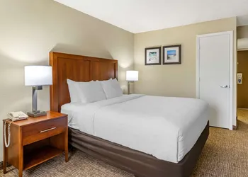 Comfort Inn & Suites St. Pete - Clearwater International Airport hotel thumbnail 6