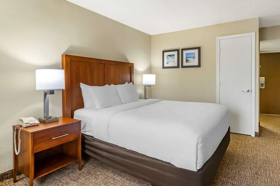 Comfort Inn & Suites St. Pete - Clearwater International Airport hotel detail image 6